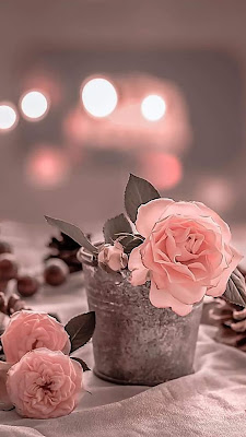 As an Exceptional High Heel Coach